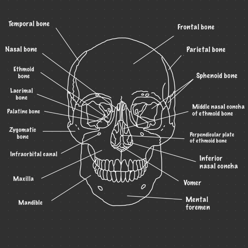 "Anatomy" Black Sweatshirt